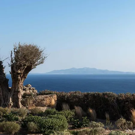 Ava Mykonos Psarou (Mykonos)