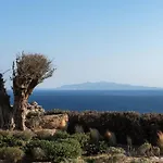 Ava Mykonos Psarou (Mykonos)